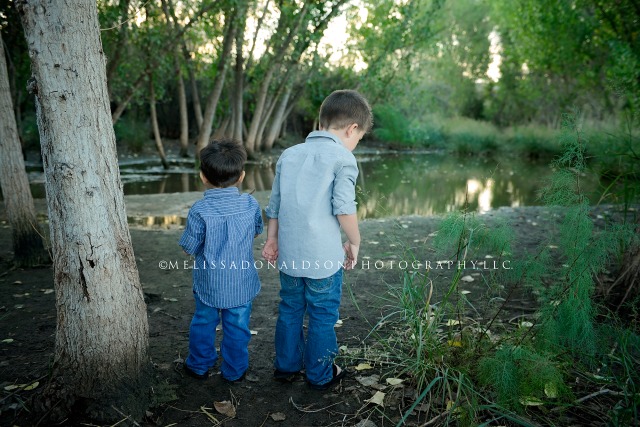 Brothers throwing sticks in pond