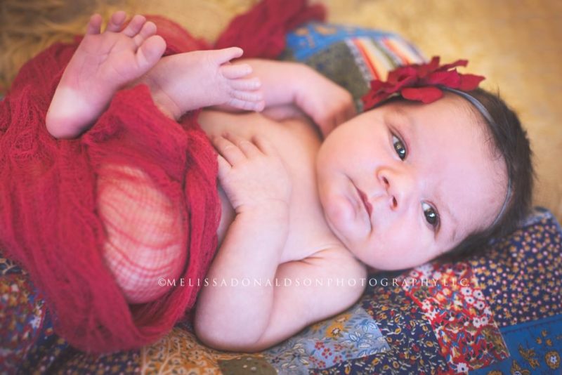 Newbornphotography  Arizona Newborn photographer The Bump Photography 